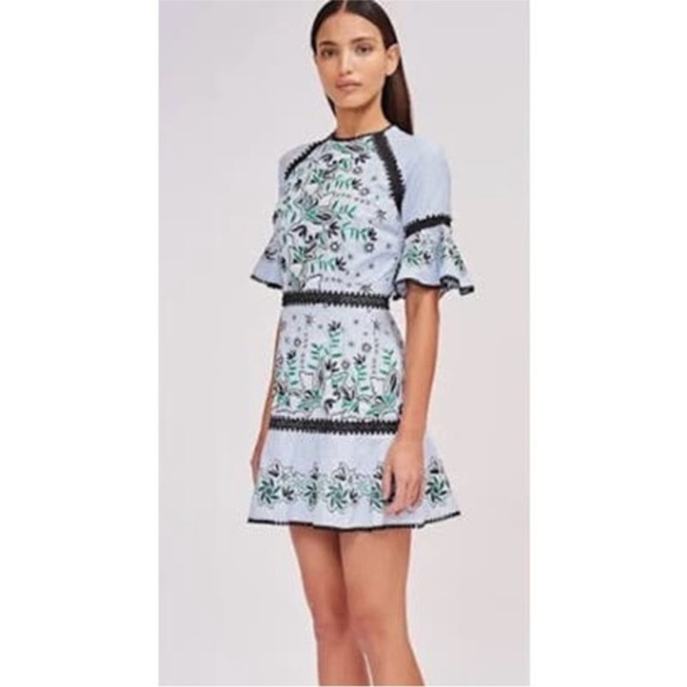 EUC. AMUR Embroidered Dress, Size 12, Blue Striped Floral Ruffle Sleeve 🤩